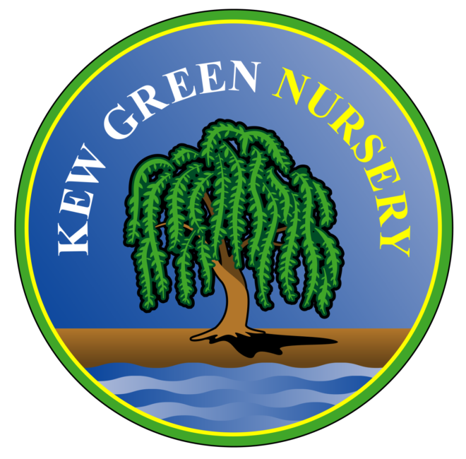 Logo Kew Green Nursery Badge